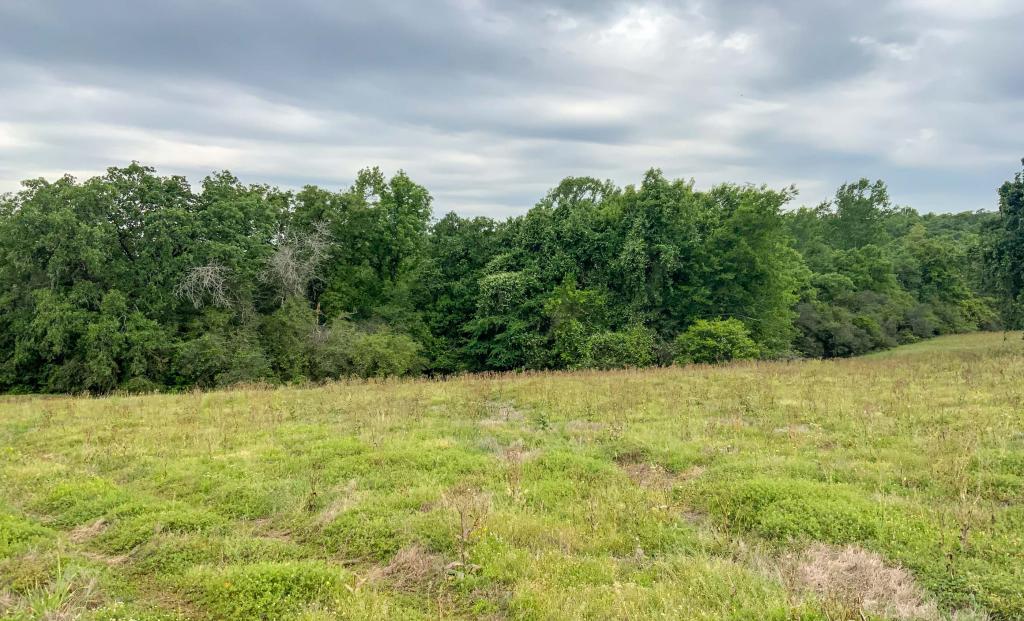 Oak Hills Ranch Chas S. Middleton